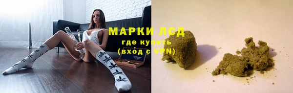 прущие грибы Абдулино